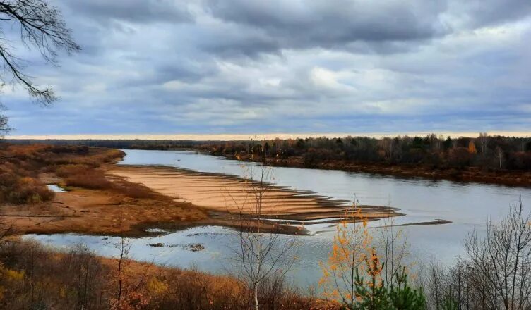 Уровень воды в реке унжа в макарьеве. Река Унжа. Унжа вода Кострома. Село Окшово Меленковский район. Гуси село Унжа Макарьевского района Костромской области гуси.