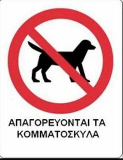 Куда нельзя с собакой