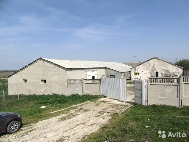 Коровник в пушкарёва смоленская область. Продается коровник. Шебекино коровник. Спк колхоз русь солдато-александровское. Новоселовка коровник.