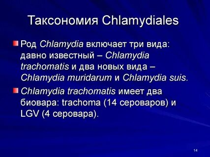 Таксономия микоплазм