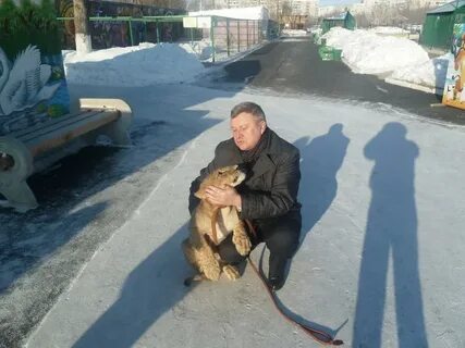 Лев рожденный