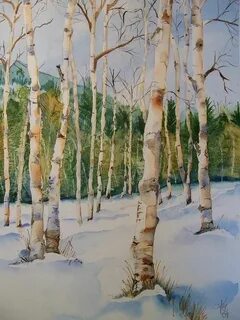 Рисунок березы зимой