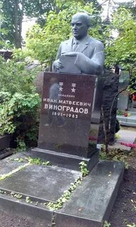 Математик виноград