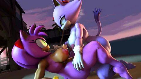 amy rose+blaze the cat 