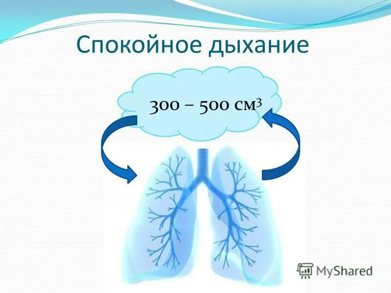 глубокий вдох и выдох. спокойный вдох. пассивный и активный выдох. спокойный вдох. медитация.