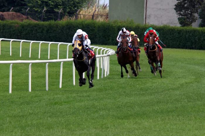 Конный спорт. Седлер. Хутор камчатка конный театр. Костюмированный конкур идеи. Место для проведения конных.