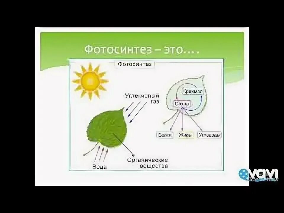 Впр по биологии 6 класс фотосинтез. Фотосинтез это в биологии 6. Процесс фотосинтеза рисунок. Схема фотосинтеза 6 класс биология. Фотосинтез листа схема.