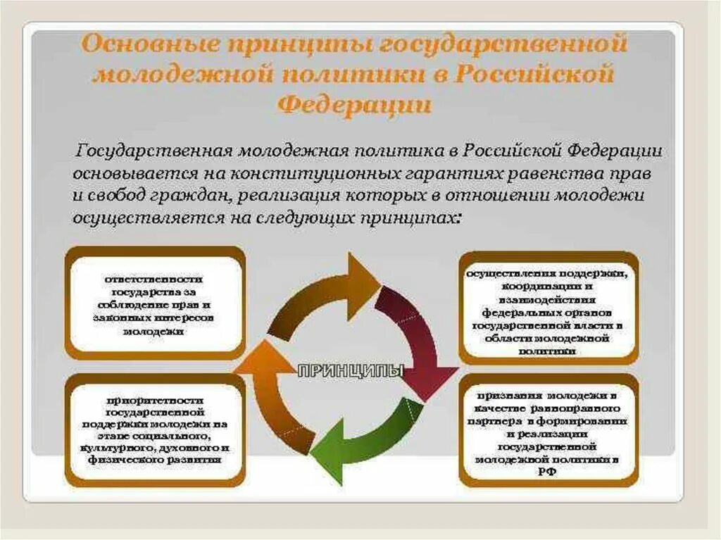 Основные принципы государственной молодежной политики. Государственная Молодежная политика. Молодежная политика Российской Федерации. Реализация государственной молодежной политики.