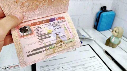 Получить визу сайт