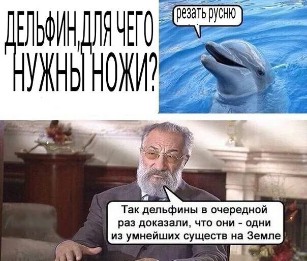 В очередной раз доказал. Так дельфины доказали. Так дельфины в очередной раз доказали шаблон. Так в очередной раз доказали что умнейшие существа. Так дельфины доказали шаблон.