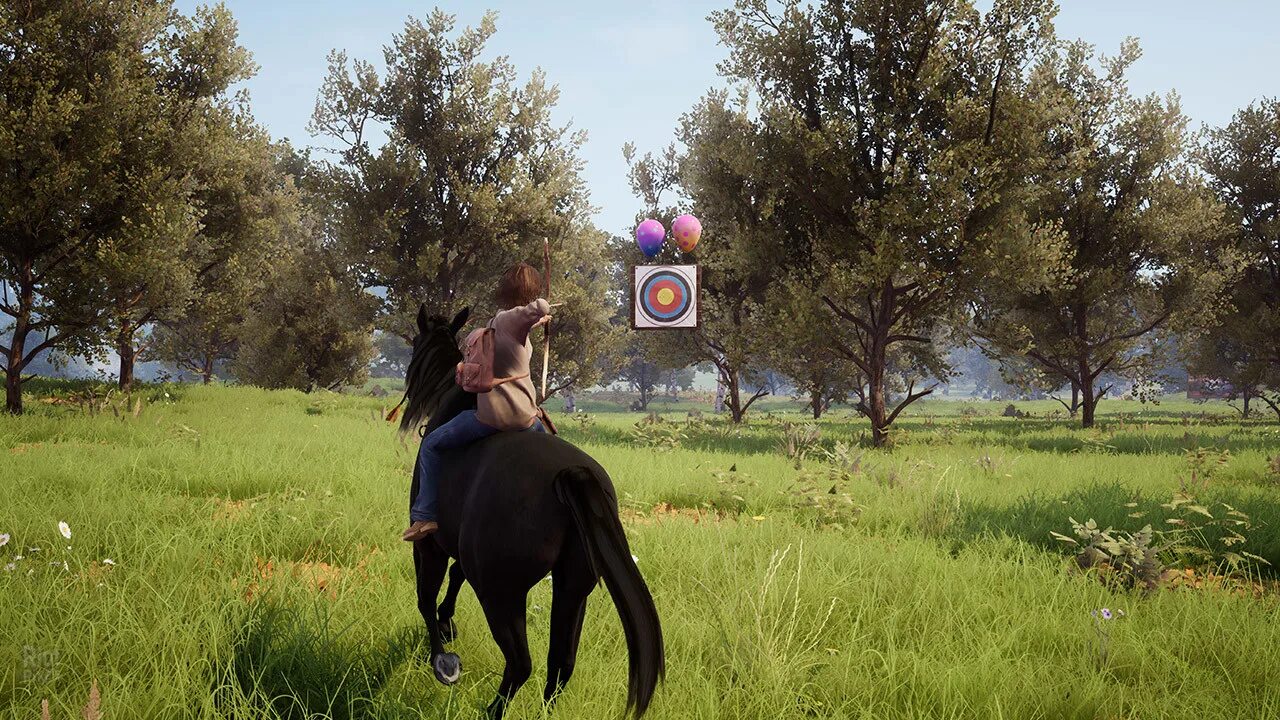 Windstorm игра. Ostwind/windstorm. Ostwind/windstorm. Оствинд игра. Оствинд игра.