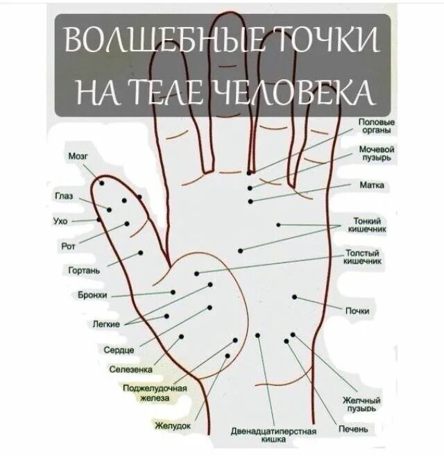 Какие точки надо массировать. Точки на теле человека. Волшебные точки на теле человека. Биологические активные точки на ладони. Биологически активные точки человека.