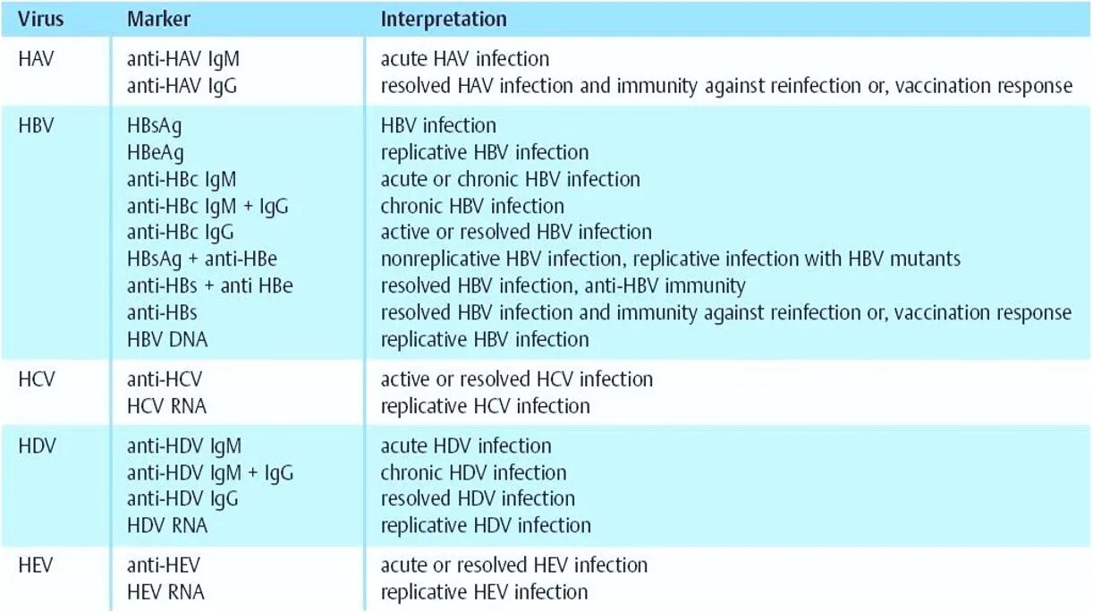 Anti hcv total что это значит. Anti-HBS, антитела. Анти-HBS положительный. Анти HBS количественный норма. Анти HBS положительный HBSAG отрицательный.