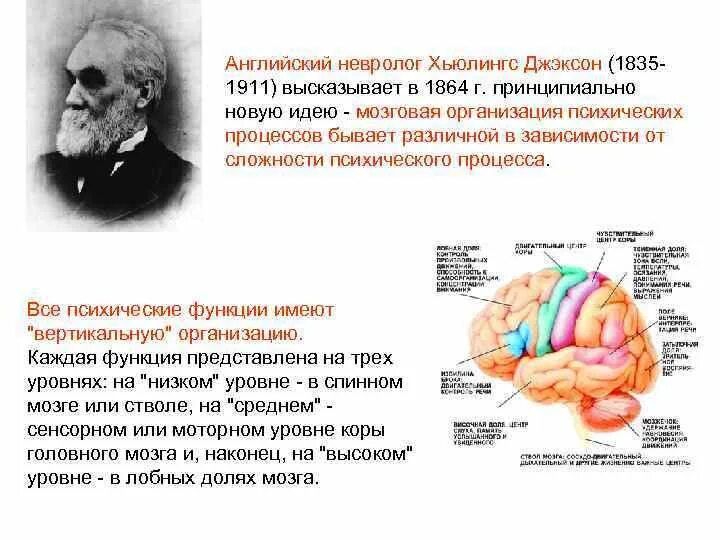 Уровень организации мозга. Хьюлингс Джексон. Английский невропатолог Хьюлингс Джексон. Джон Джексон невролог. Джон Хьюлингс Джексон труды.