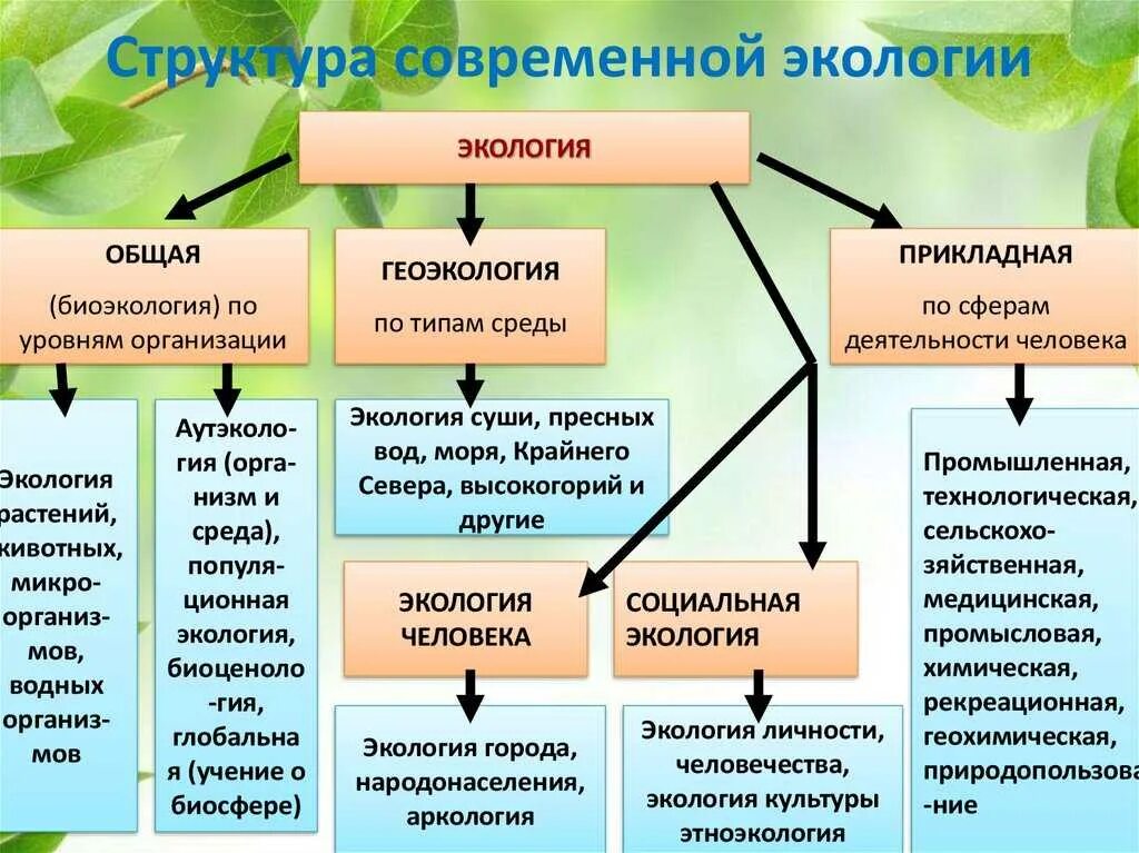 Сущность геоэкологических исследований направления геоэкологических исследований