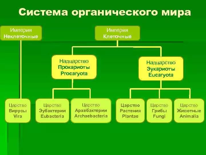 Что является органическими миром. Система оргнаническог Омира.