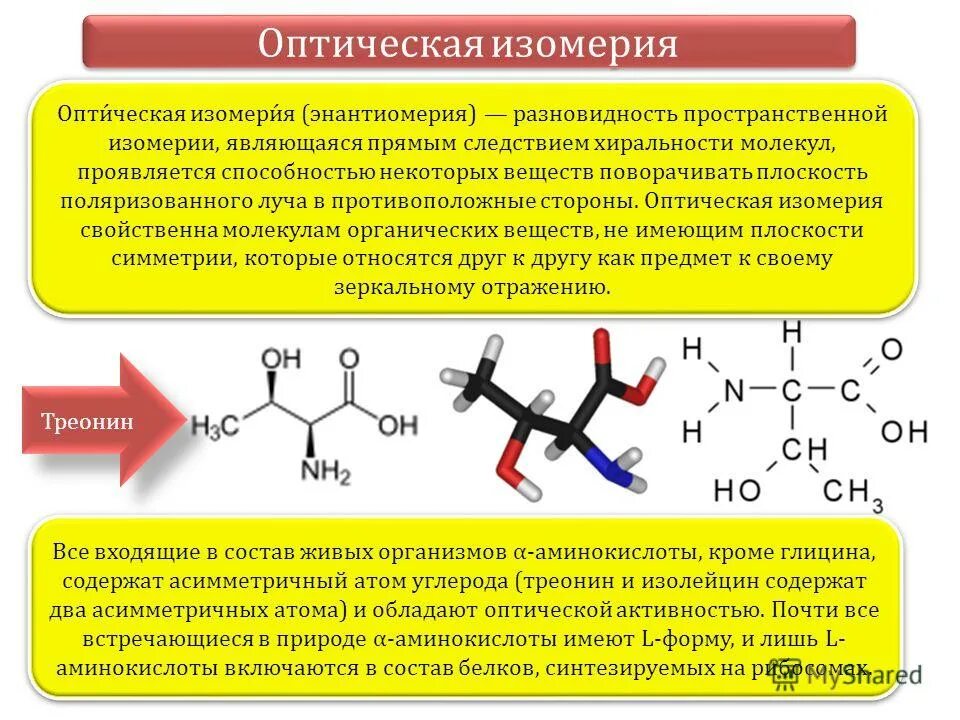Глицин органическое соединение