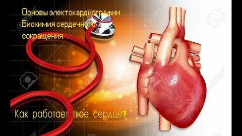 Ишемические поражения сердца