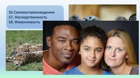 Семя человека и животных
