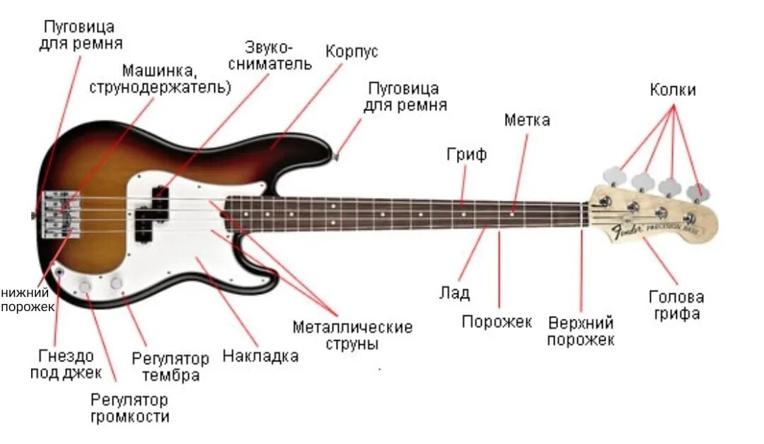 Определение басс. Строение бас гитары 4 струны. Строение электро бас гитары. Строение бас гитары Ibanez. Из чего состоит бас гитара.