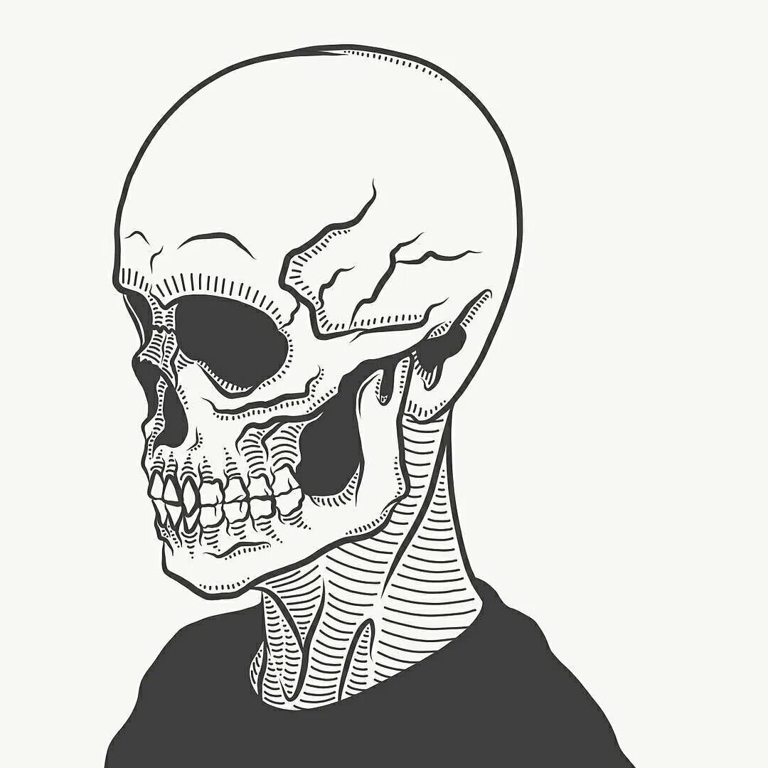Череп скелет рисунок. Череп для срисовки. картинки для срисовки карандашом черепа. череп набросок.