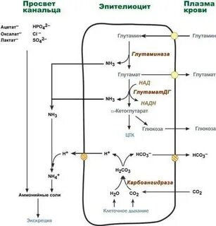 Синтез соли