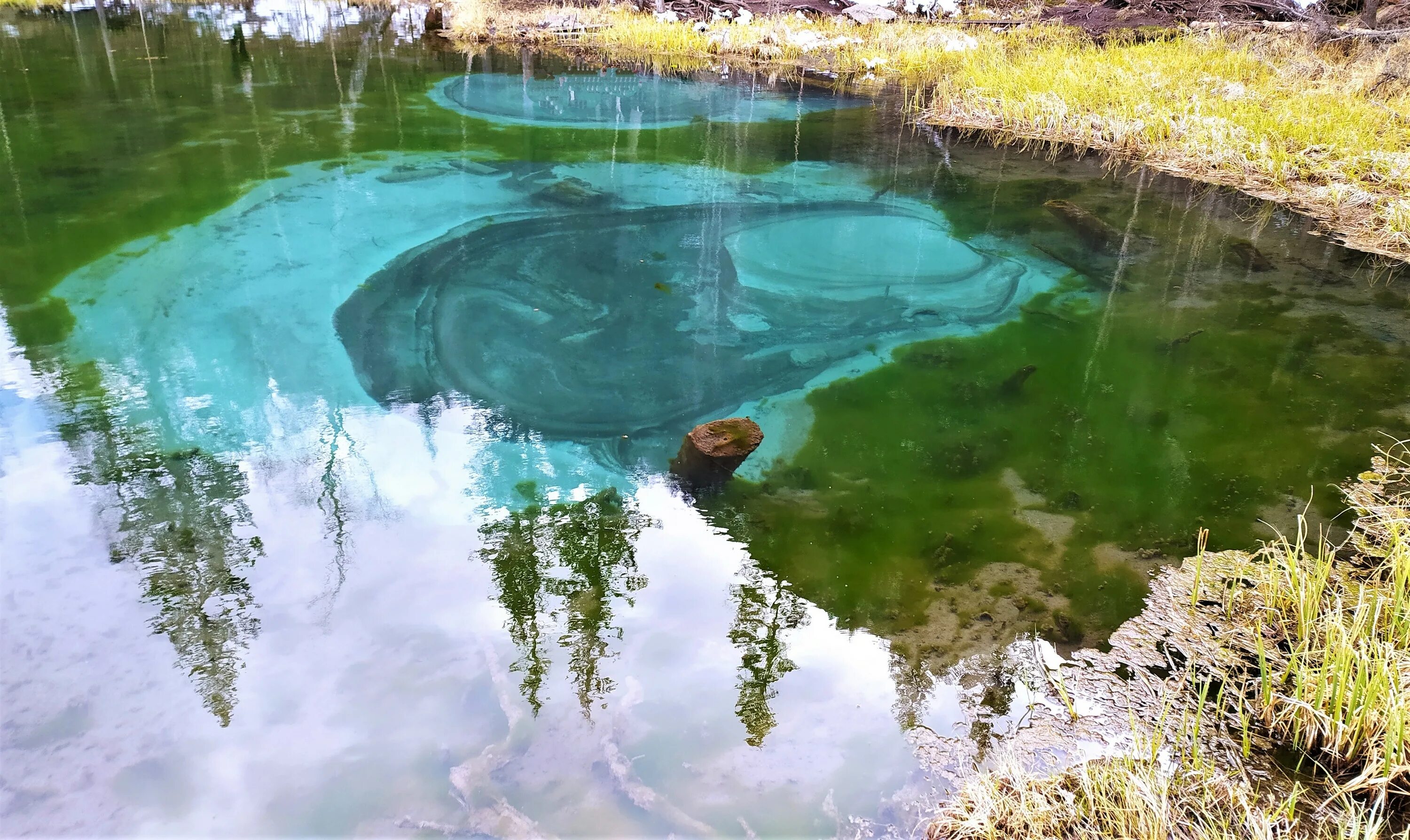 В какой стране не встречаются гейзерные. Гейзерное озеро Акташ. Голубое озеро Акташ. Гейзерное озеро горный Алтай. Гейзеровое озеро горный Алтай Акташ.