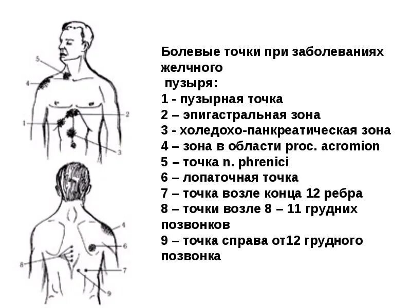 Болевые точки при холецистите. Рефлекторные зоны желчного пузыря. Точки пальпации желчного пузыря. Болевые точки при заболеваниях желчного пузыря.