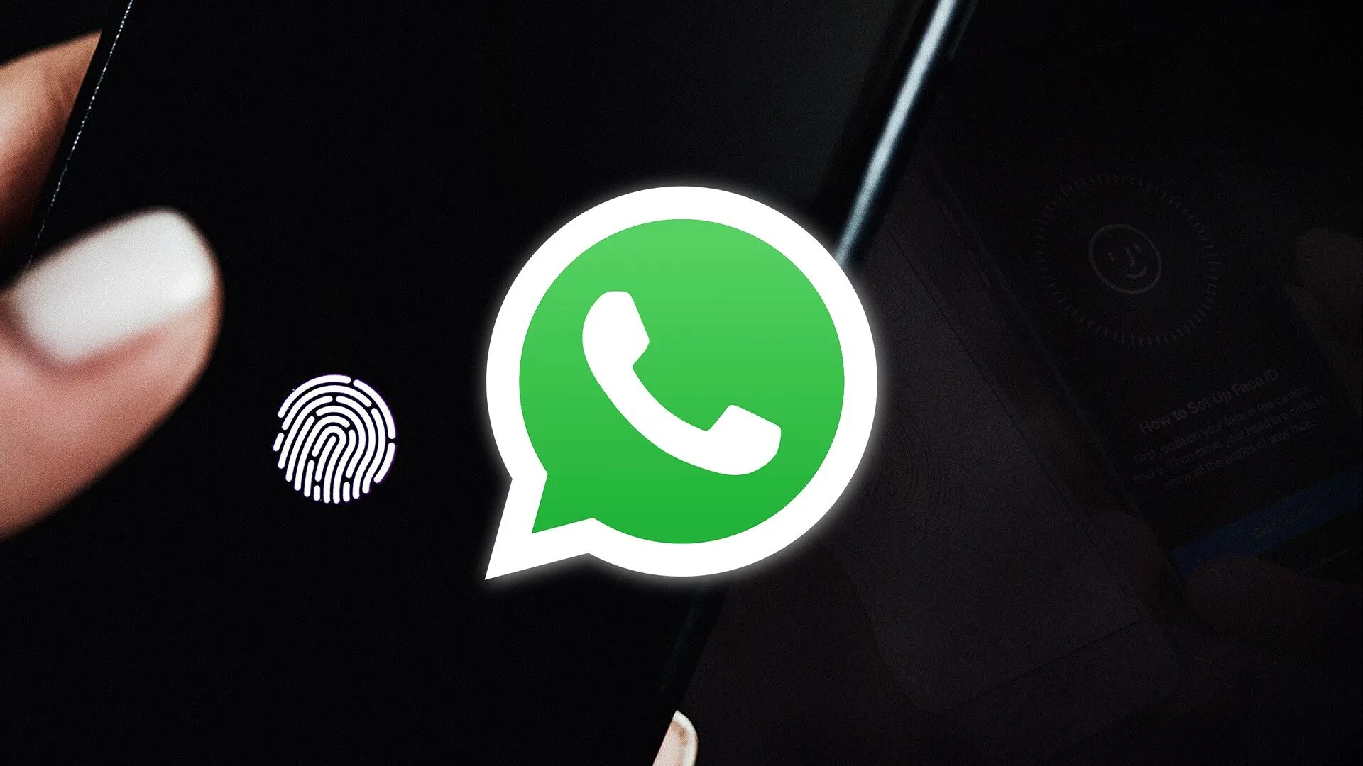 Whatsapp notifications. Ватсап роскомнадзор. whatsapp. уязвимость ватсап. ватсап веб.