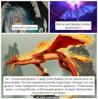 Принадлежать дракону