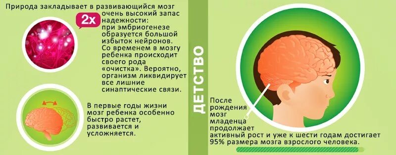 Влияние возраста и пола. Как возраст влияет на мозг человека. Факторы влияющие на формирование внутренней картины болезни. Чтение тренирует мозг. Этапы формирования мозга ребенка.