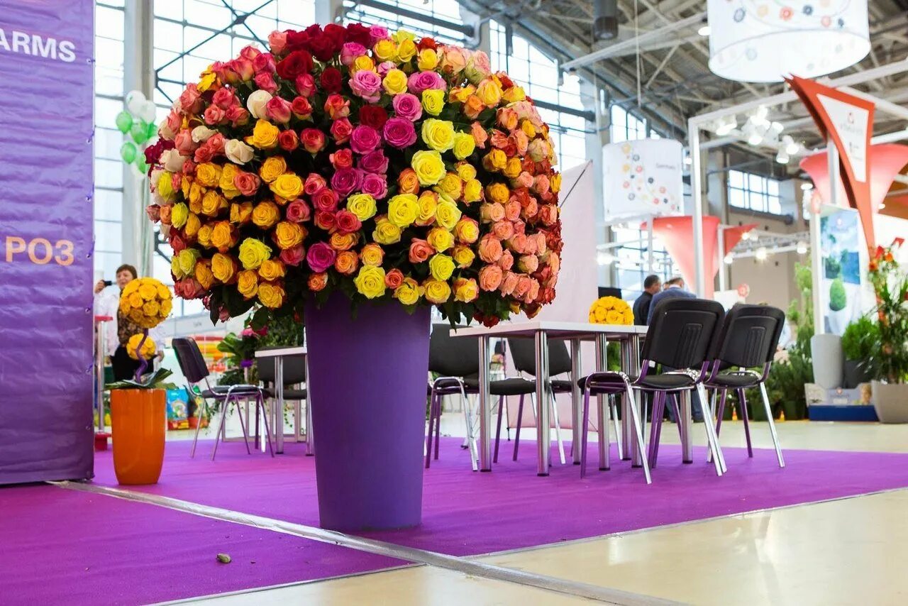 Железноводск парк зеленый квартал. Пятигорск иноземцево парк зеленый квартал. Парк иноземцево зеленый квартал парк. Кавказские минеральные воды, посёлок иноземцево. Иноземцево цветы.