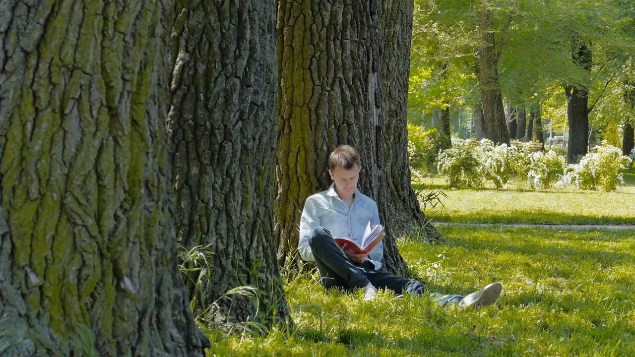 Sit under the tree. The man under the tree. man sitting under tree. sitting on a tree приколы. two people sitting under the tree.
