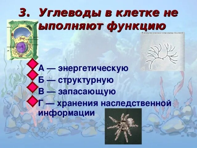 Запасающие углеводы. Углеводы в клетке не выполняют функцию. в клетке углеводы выполняют функцию энергетическую структурную. углеводы в клетке выполняют функции запасающую. клеточный углевод выполняющий структурную функцию это.