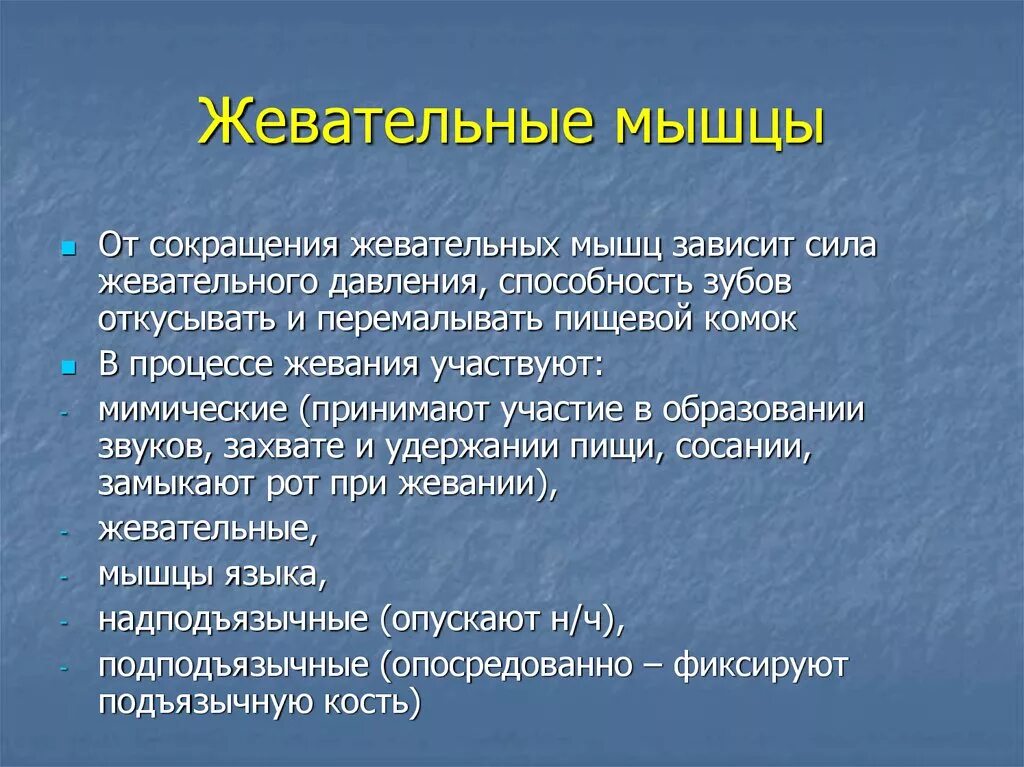 Сокращение жевательных мышц. Сокращение жевательных мышц