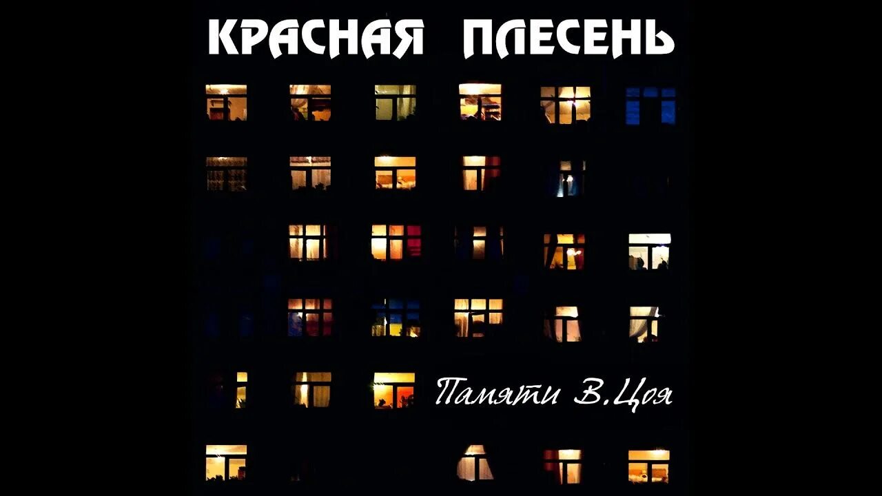 Песня память цой. Красная плесень памяти Цоя. Красная плесень памяти Виктора Цоя 2021. Красная плесень - памяти в. Цоя (2021). Красная плесень памяти Виктора Цоя.