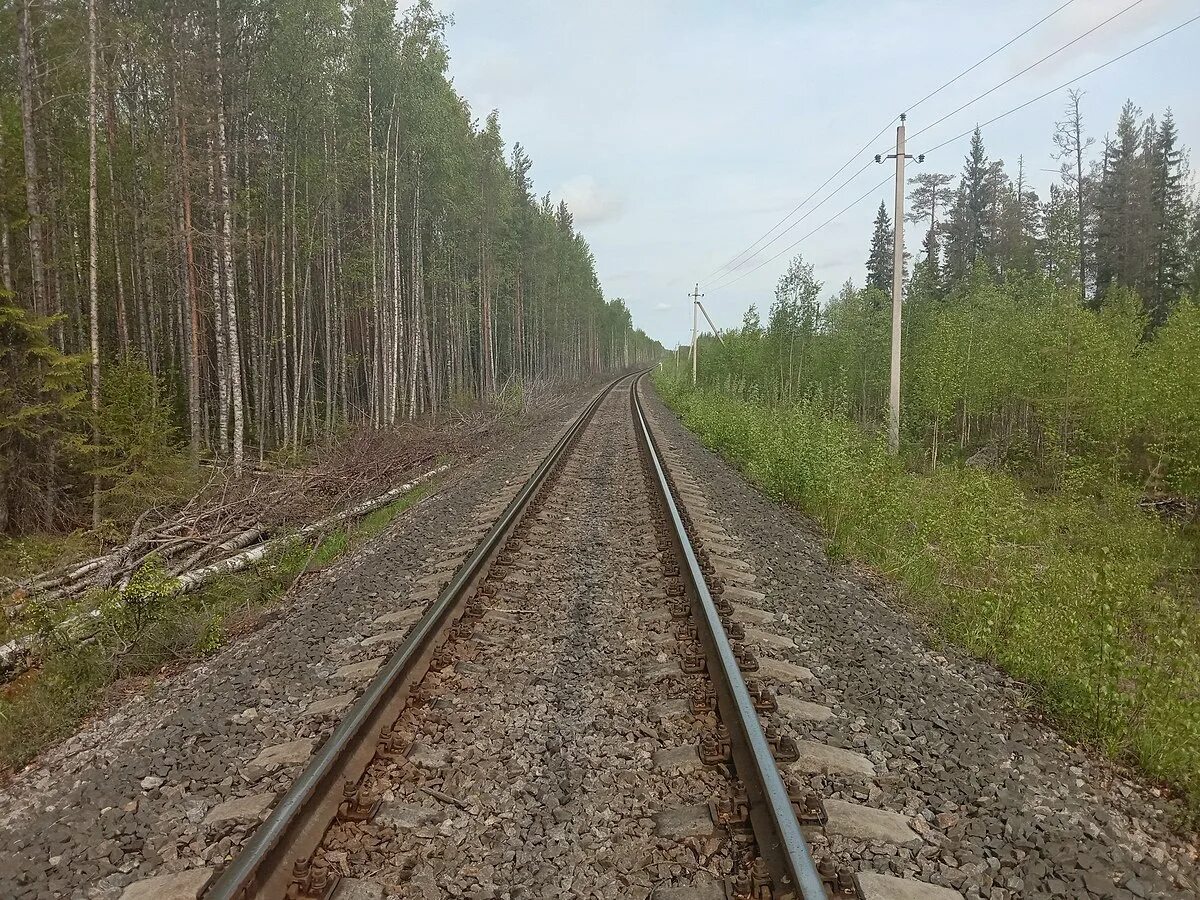 Станция 98 км. Станция верхний уфалей. Западно карельская железная дорога. Станция 98 км. Платформа 138 км бмо.