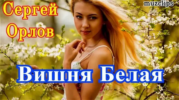 Песня вишня алая спелая текст. Белая вишня песня. Песня вишня. Белая вишня спелая.