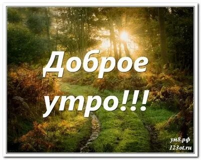 Ватсап доброе утро природа