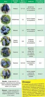 Опылители для жимолости