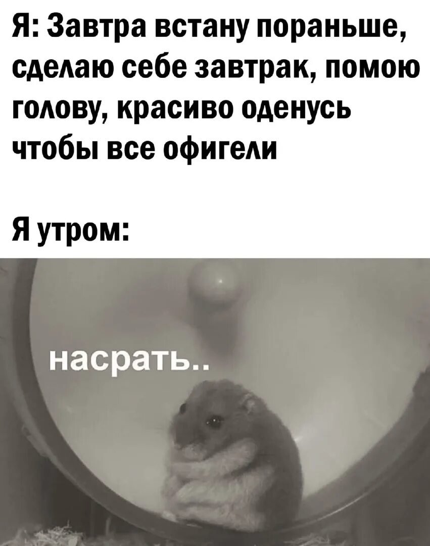 Рано утром встану косячок достану. Завтра встану пораньше помою голову. завтра встану пораньше. я завтра встану пораньше сделаю себе завтрак помою голову. встать пораньше.