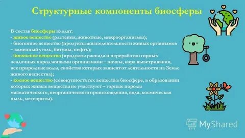 Живой входить