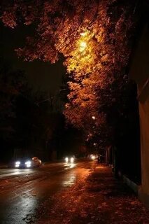 Какая ночью осенью