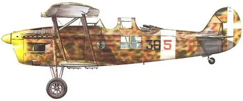 Ro 37