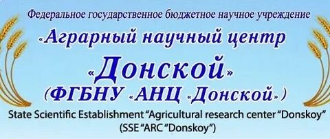 Анц донской зерноград