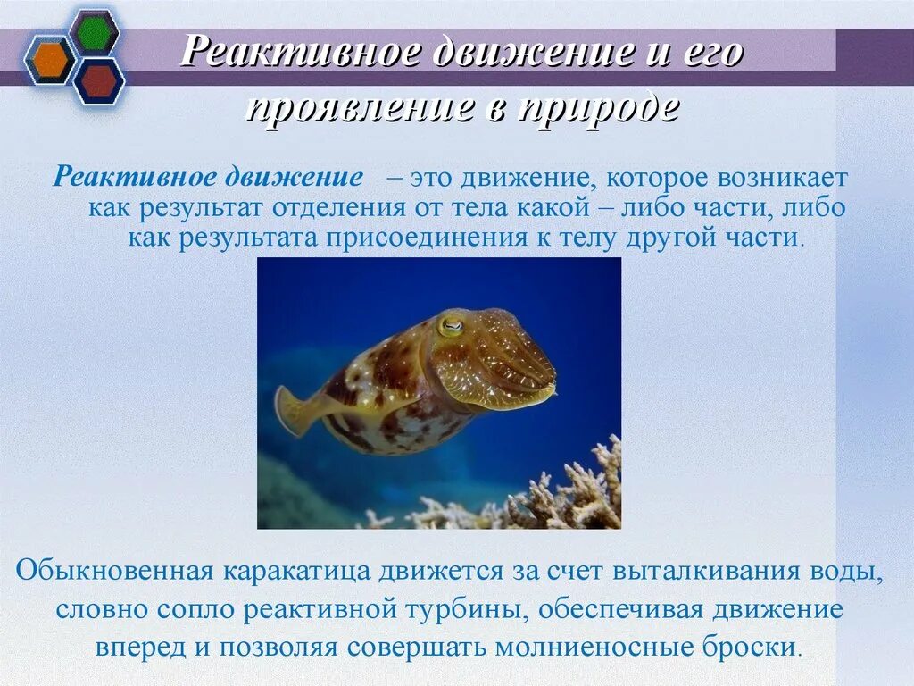 Всероссийский проект реактивное движение первых РЕАКТИВНОЕ ДВИЖЕНИЕИ ЕГО ПРИМЕНЕНИЕ В ТЕХНИКЕ YouTube