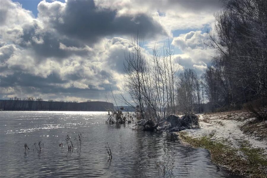 Половодье чувств. Весеннее половодье сумерки. дымом половодье фото. островок в половодье картинки для детей. испуганный заяц на дереве половодье.