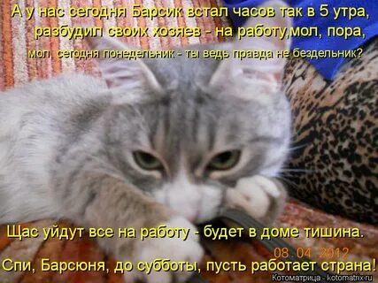 Щас уйду
