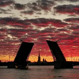 Время белых ночей в питере