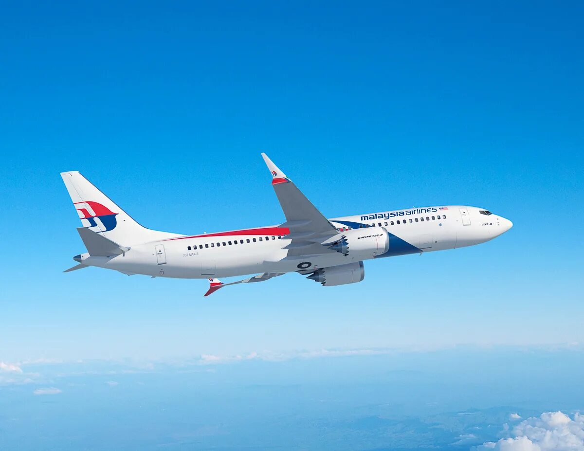 Авиакомпания малазийские авиалинии. Malaysia Airlines 737. Boeing 737 Malaysia.